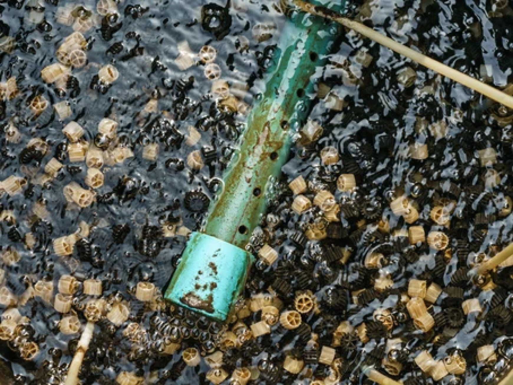 เทคโนโลยีใหม่ Moving Bed Bio Reactors ลดต้นทุนบำบัดน้ำเสียในโรงงาน